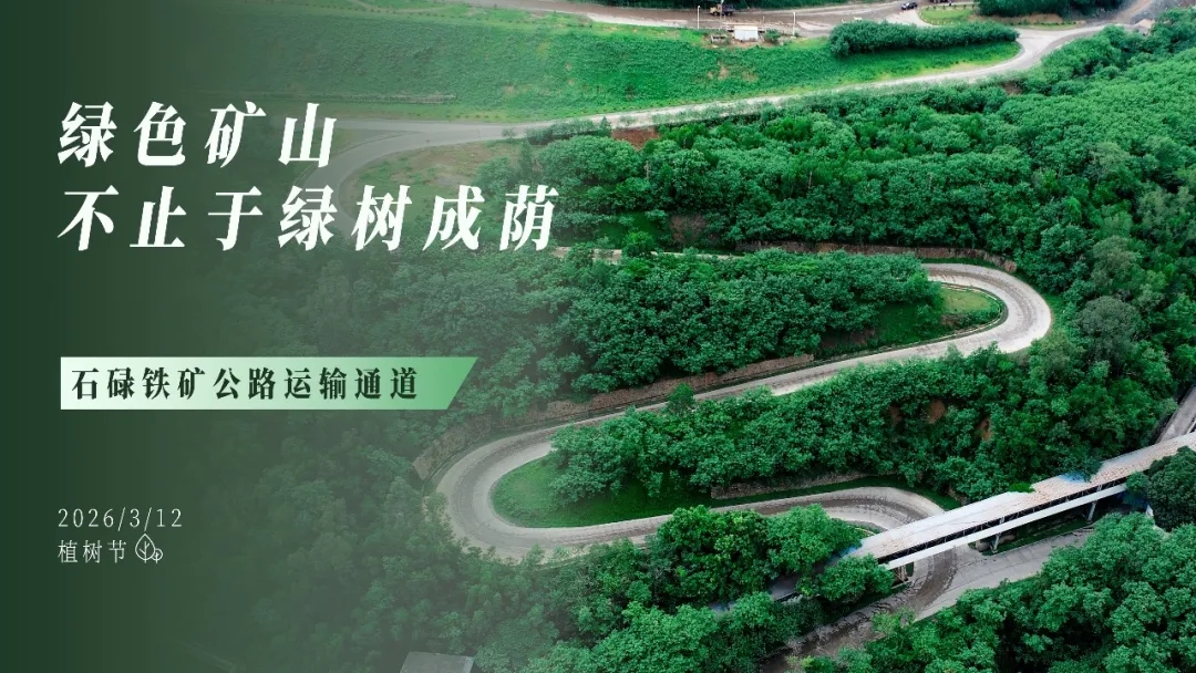 һ�ɳ���300����Ϸ(�й���)���ٷ���վ